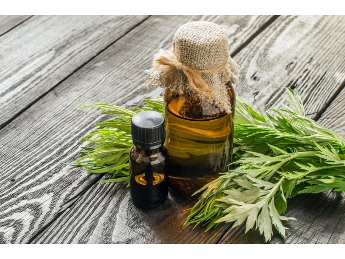 Настойки горькой полыни: от каких проблем со здоровьем помогает? 